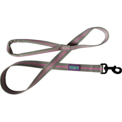 Dog & Co Sports Lead Pink 1" X 48"